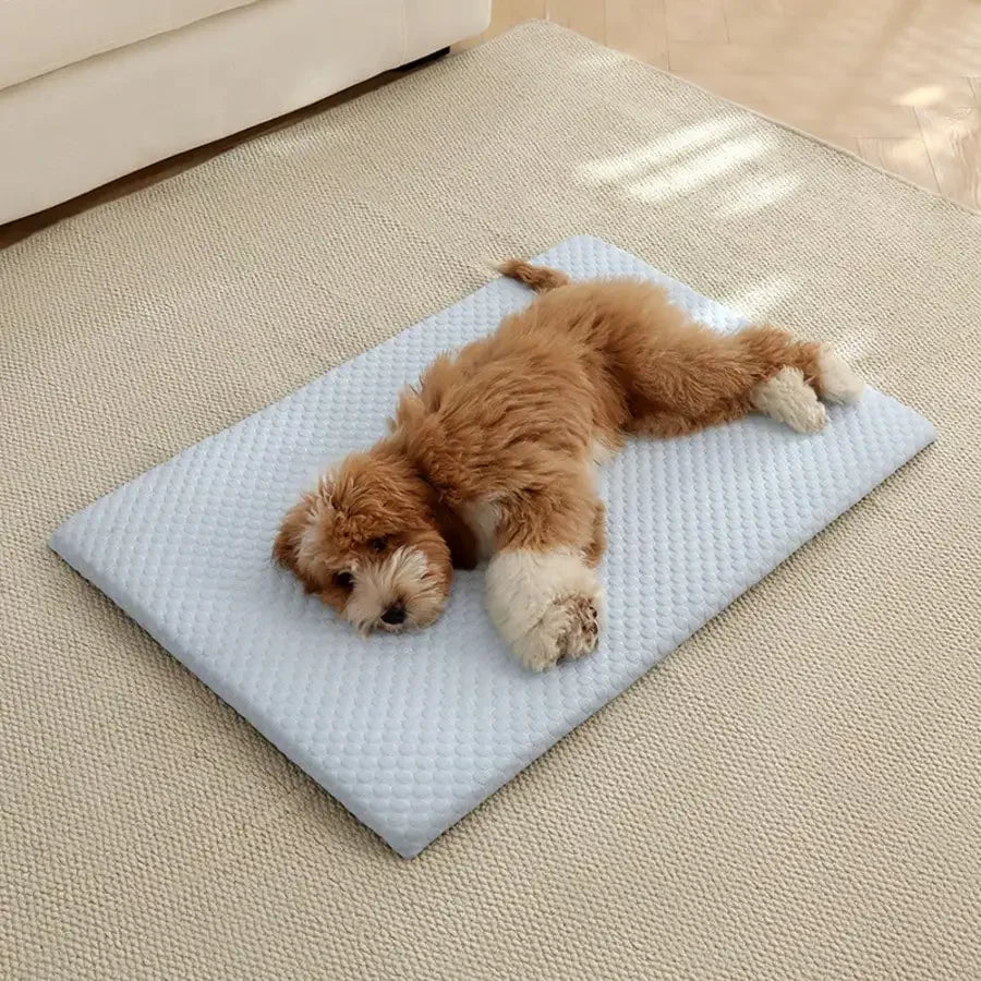 Sponge Cooling Cat Bed With Thick Padding Non Slip Washable