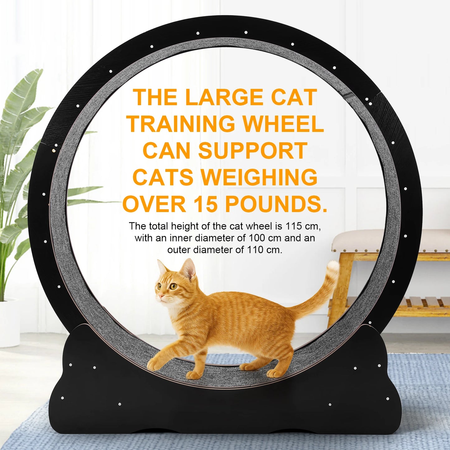 Cat Exercise Running Wheel Treadmill For Indoor Cats