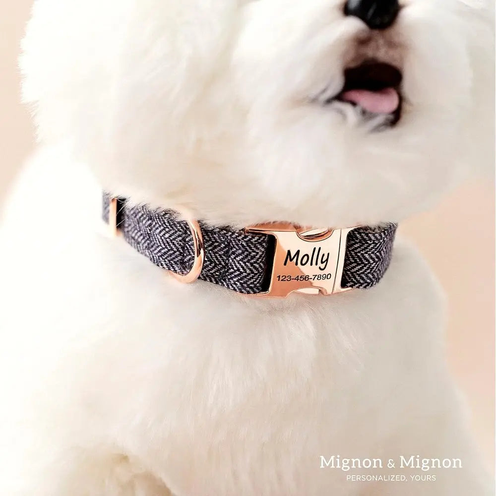 Personalized Dog Collar, Custom Pet Name and Contact Ino Engraved, Adjustable Cotton Collar or Small Dogs, Cats, and Puppies wit