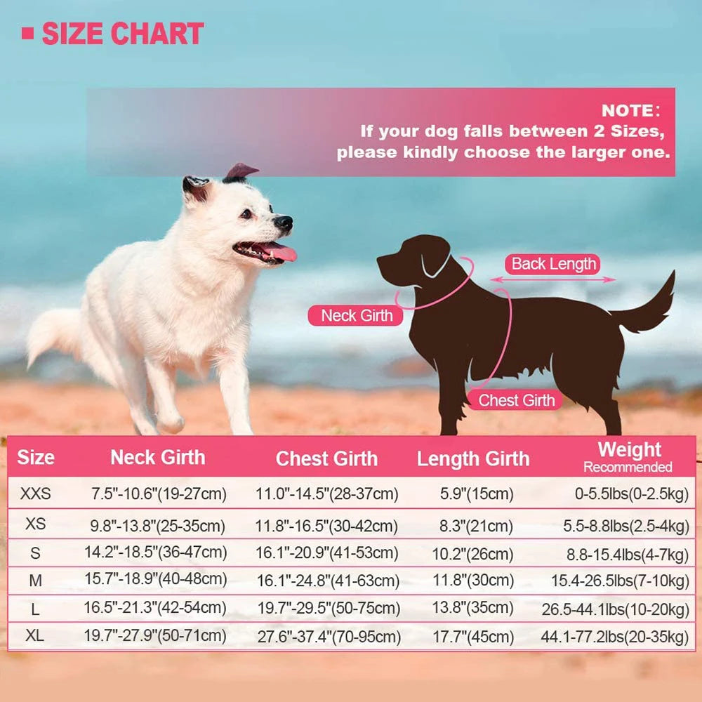 Dog Life Jacket Dog Life Vest for Swimming Beach Boating with High Buoyancy Summer Pet Flotation Vest for Small Medium Large Dog