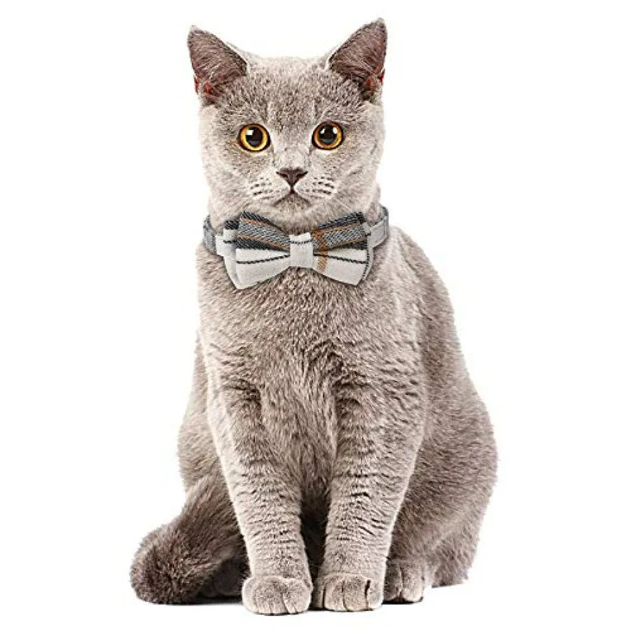 Breakaway Cat Collar with Bells - 2 Pack Cat Collar with Bells, Cat Collars with Bandana, Accessories for Pet Collars, Adjustab