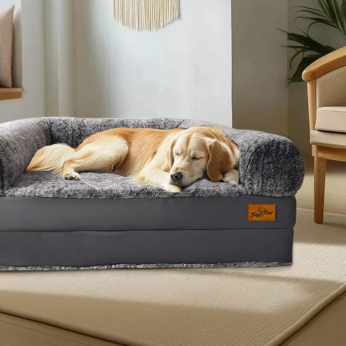 Bingopaw Foldable Orthopedic Dog Bed With Removable Plush Cover