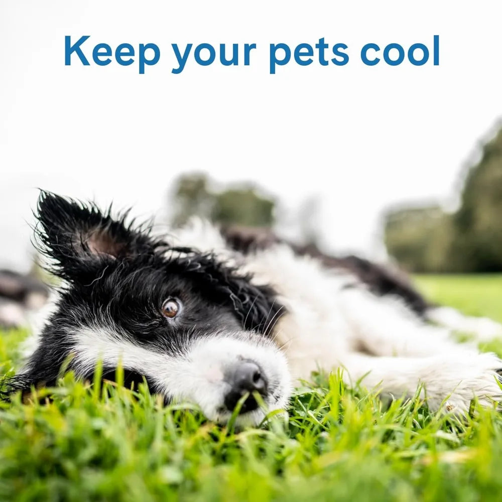 Self-Cooling Pet Mat, Large (46-80 lbs) - Pressure Activated, No Water or Electricity Needed, Non-Toxic Gel
