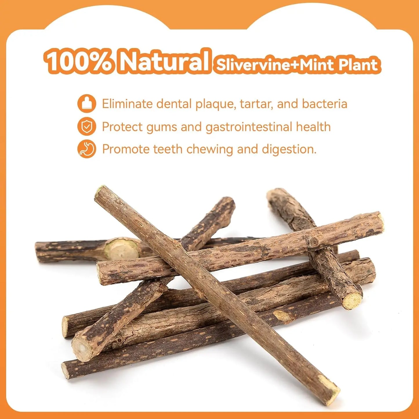 6Pcs Silvervine Sticks for Cats with Catnip Bag, Cat Chew Toys for Teeth Cleaning and Anxiety Relief, Natural Dental Care Kit fo