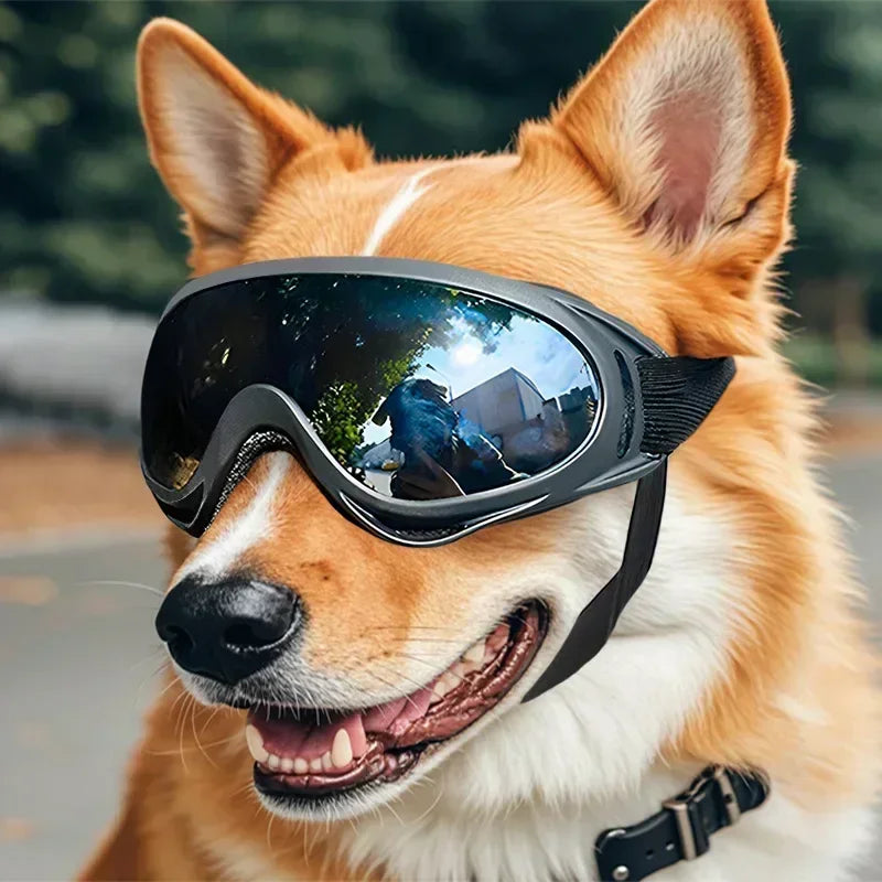 Pet Goggles Adjustable Anti UV Eye Protection for Dogs