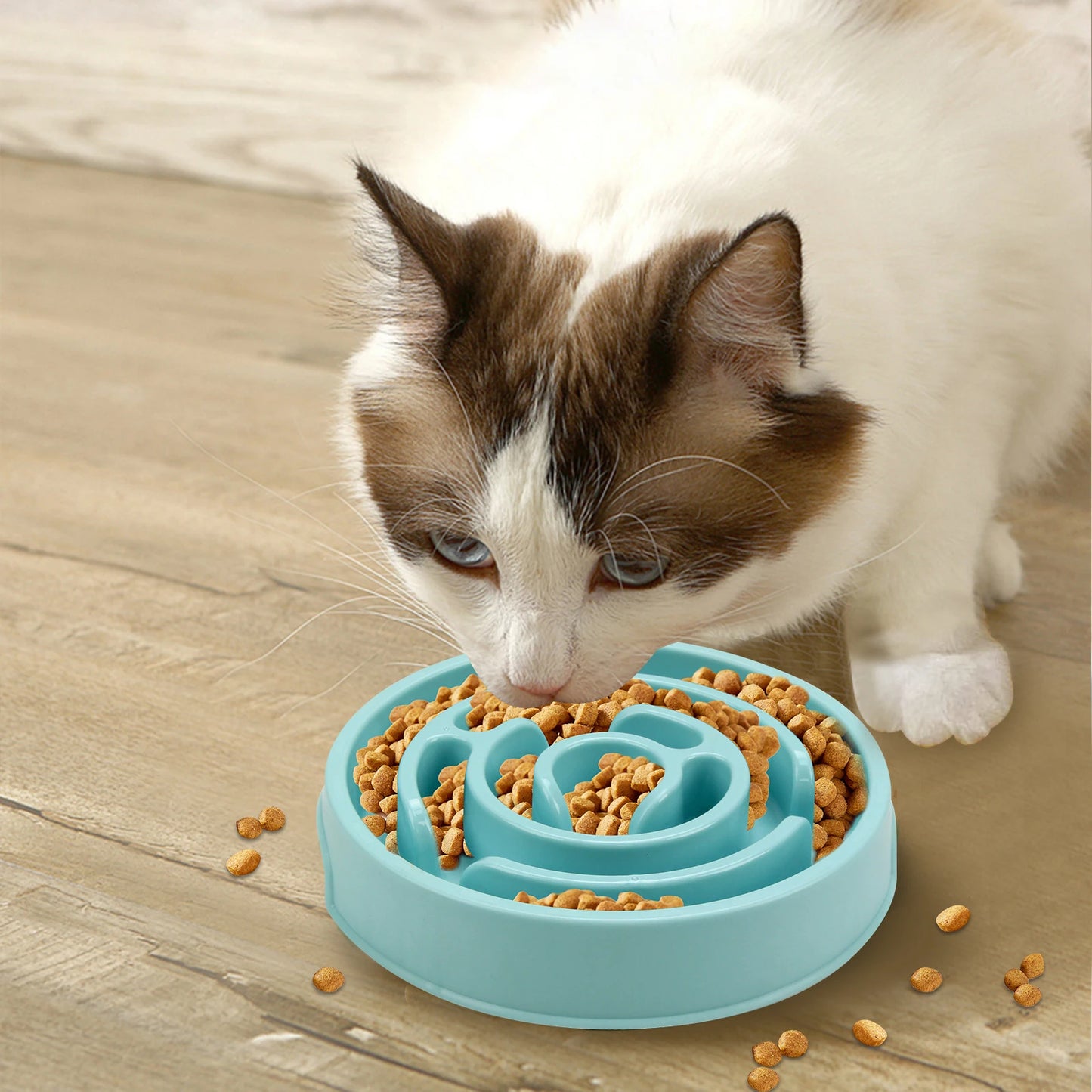 Slow Feeder Dog Bowl Non Slip Anti Gulp Eco Feeding Dish for Dogs