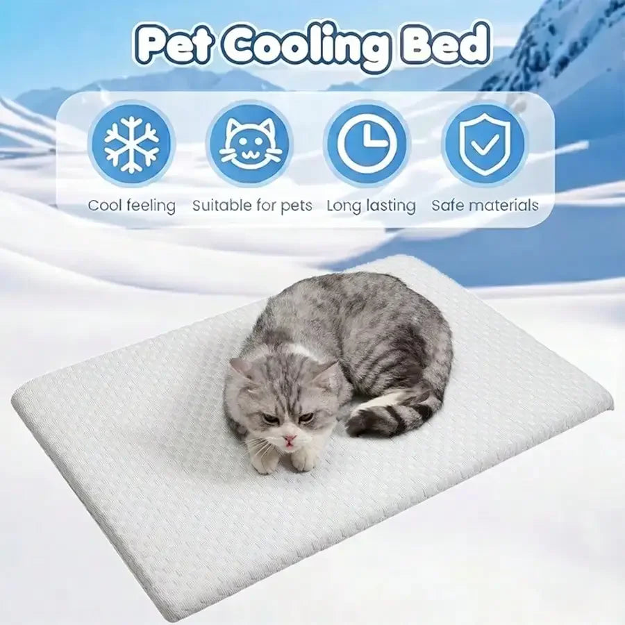 Sponge Cooling Cat Bed With Thick Padding Non Slip Washable