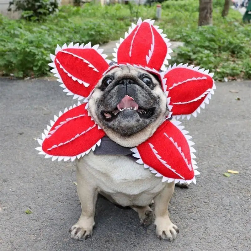 Funny Cat Hat Demogorgon Scary Flower Costume Birthday Pet Accessories Supplies Pet Dogs Headwear Adjustable Sticker