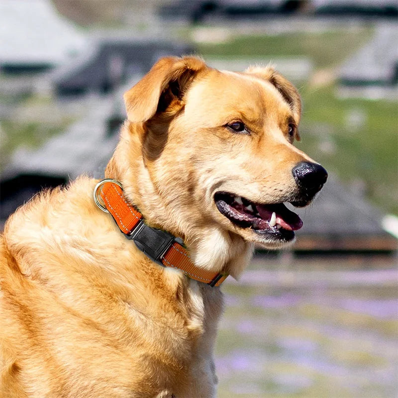 Reflective Pet Collar Adjustable Nylon Collar For Dogs Cats Anti Slip Anti Choke Pet Walking Collar Durable Pet Accessories